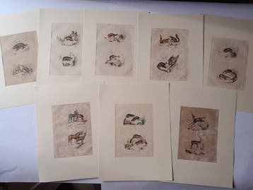 Buffon. Lot with 21 plates. Wildlife - 1835