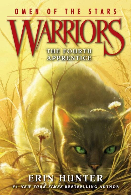Warriors 9780062382573 Erin Hunter, Livres, Langue | Anglais, Envoi