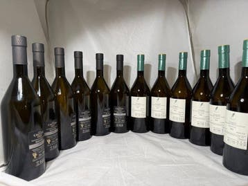 2021 x6 Paolo Caccese & 2022 x6 Muzic, Malvasia -, Nieuw