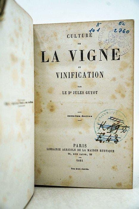 Jules Guyot - Culture de la vigne et vinification - 1861, Antiek en Kunst, Antiek | Boeken en Manuscripten