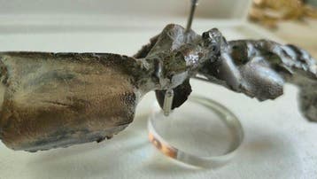 Schaaldier - Gefossiliseerd dier - Thalantina - 5 cm - 7 cm, Verzamelen