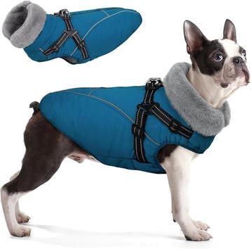 Queenmore Hondenjas XL | Retour deal | 34% korting!, Dieren en Toebehoren, Verzenden, Zo goed als nieuw, Hondenjas