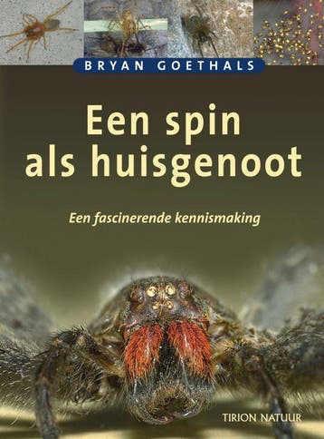 Een spin als huisgenoot 9789052105079 B. Goethals, Verzenden, Gelezen, B. Goethals