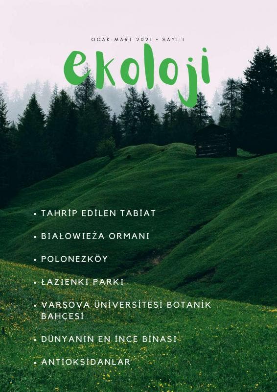 Ekoloji | Ekoloji Online | Nieuw, Livres, Livres Autre, Envoi