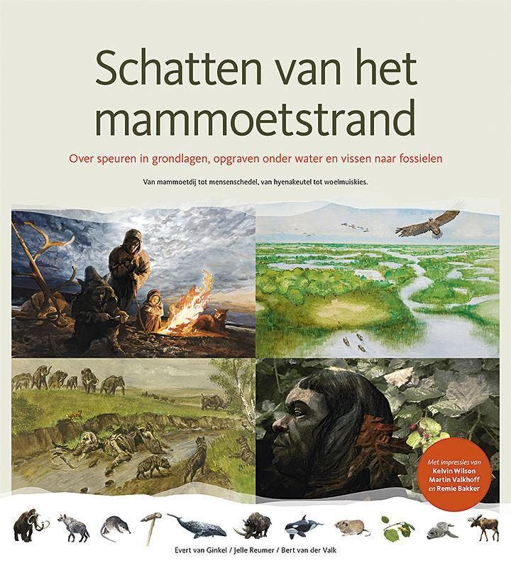 Schatten van het mammoetstrand 9789080989207, Livres, Histoire mondiale, Envoi