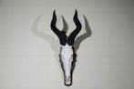 Hartebeest skull Schedel - Alcelaphus buselaphus - 37 cm -, Verzamelen, Dierenverzamelingen, Nieuw