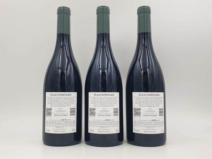 2019 Arnaldo Caprai, Malcompare - Umbrië - 3 Flessen (0.75, Verzamelen, Wijnen