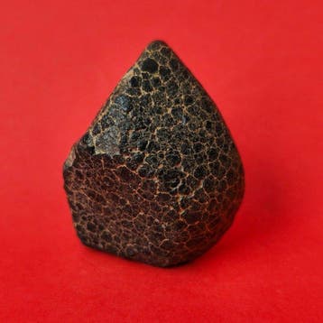 CK, Carbonaceous Chondrite meteorite. (Sahara, 2025) With