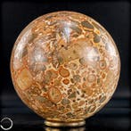 Natuurlijke eerste kwaliteit luipaardjaspis Sphere- 1779.39