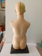 Anatomisch model - Plastic - 1980-1990 - anatomisch model, Antiek en Kunst