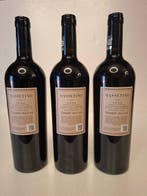 2021 Massetino - Toscane - 3 Flessen (0.75 liter), Nieuw