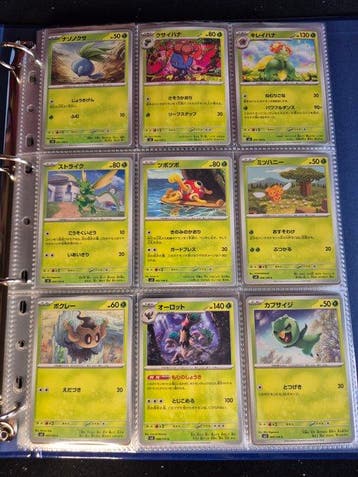 Pokémon - 2 Compleet album - Scarlet & Violet - RULER BLACK, Nieuw