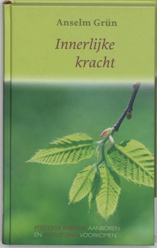 Innerlijke kracht 9789025955373 Anselm Grün, Livres, Ésotérisme & Spiritualité, Envoi