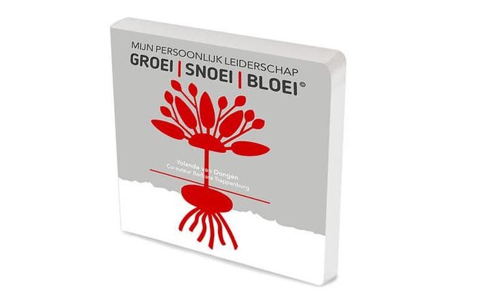 Mijn persoonlijk leiderschap 9789083146300, Livres, Livres scolaires, Envoi