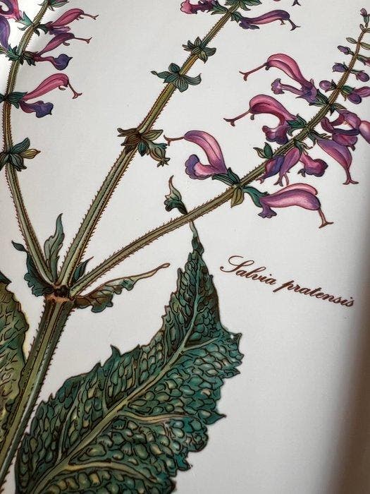 Villeroy & Boch - Tafelservies - Botanica - Porselein, Antiek en Kunst, Antiek | Meubels | Tafels