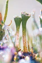 Inna Etuvgi - When We Said Yes!, Antiek en Kunst