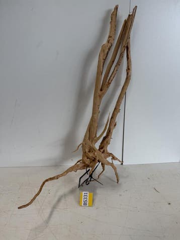 Boutique Stump Selected BS331 - 40x37x76cm (Natuurlijk hout), Ophalen of Verzenden, Plant(en), Steen of Hout