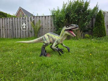 Beeld, XL Realistic Velociraptor Dinosaur 155cm - 59 cm -