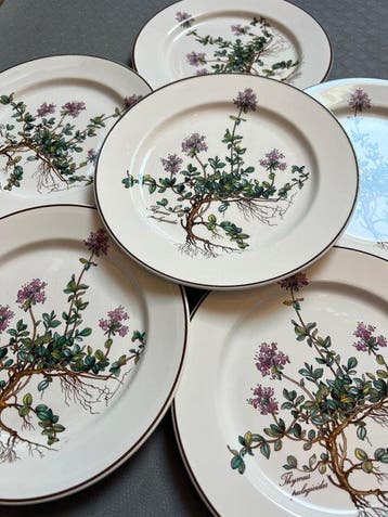 Villeroy & Boch - Assiette (6) - botanica - Porcelaine