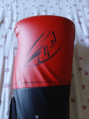 Boxe - Ivan Drago - 2025 - Gant de boxe