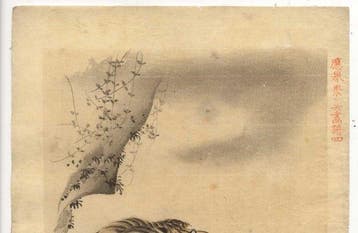 tijger - Papier - Maruyama Okyo - Japan - Edo Periode