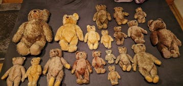 Steiff - Ours en peluche - 1960-1970 - Allemagne