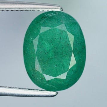 Sans prix de réserve Émeraude - 9.10 ct - International