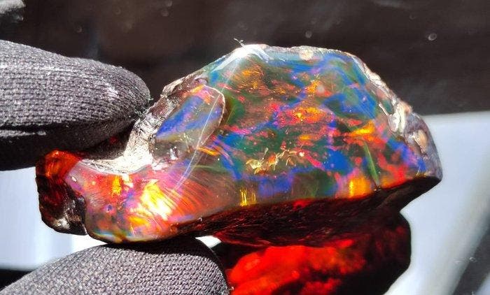 Birmese Blauwe Amber - van hoge kwaliteit! Geen, Collections, Minéraux & Fossiles