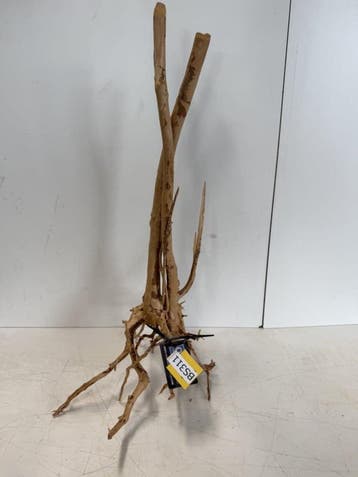 Boutique Stump Selected BS311 - 40x35x74cm (Natuurlijk hout), Ophalen of Verzenden, Nieuw, Plant(en), Steen of Hout