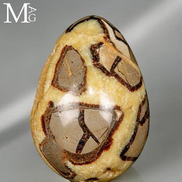 Madagaskar Septarian-ei - Spectaculair goudgeel
