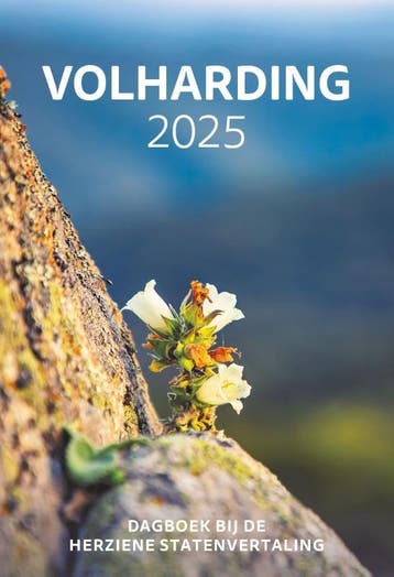 Volharding / 2025 9789085203551, Verzenden