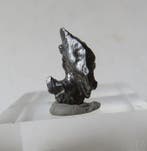 Campo del Cielo meteorite IJzer meteoriet - 94 g - (59), Collections
