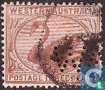 West-Australië - Zwaan W.A. perforatie - 1906, Timbres & Monnaies, Timbres | Océanie, Verzenden