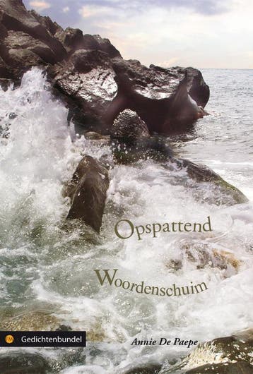 Opspattend woordenschuim 9789048409945 Annie de Paepe, Boeken, Verzenden, Zo goed als nieuw, Annie de Paepe