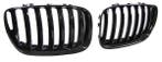 Glans Zwart Facelift Nieren (Grillen) BMW X5 E53 03-07 B0177, Auto-onderdelen, Nieuw, Voor, BMW