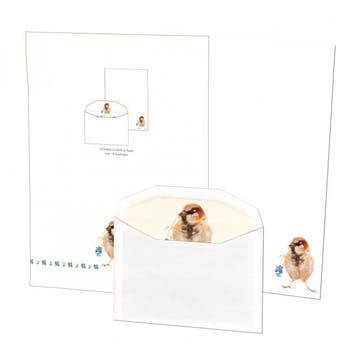 Briefpapier met enveloppen: Charmeur, Angelique Weijers, Ophalen of Verzenden