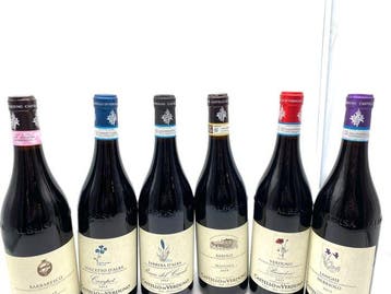 2008 Massara Barolo, 2009 Rabajá Barbaresco, 2012 Badasone,, Nieuw
