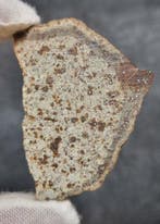 NWA 8756 (H6 S1 W3) - OC - 13.66 g