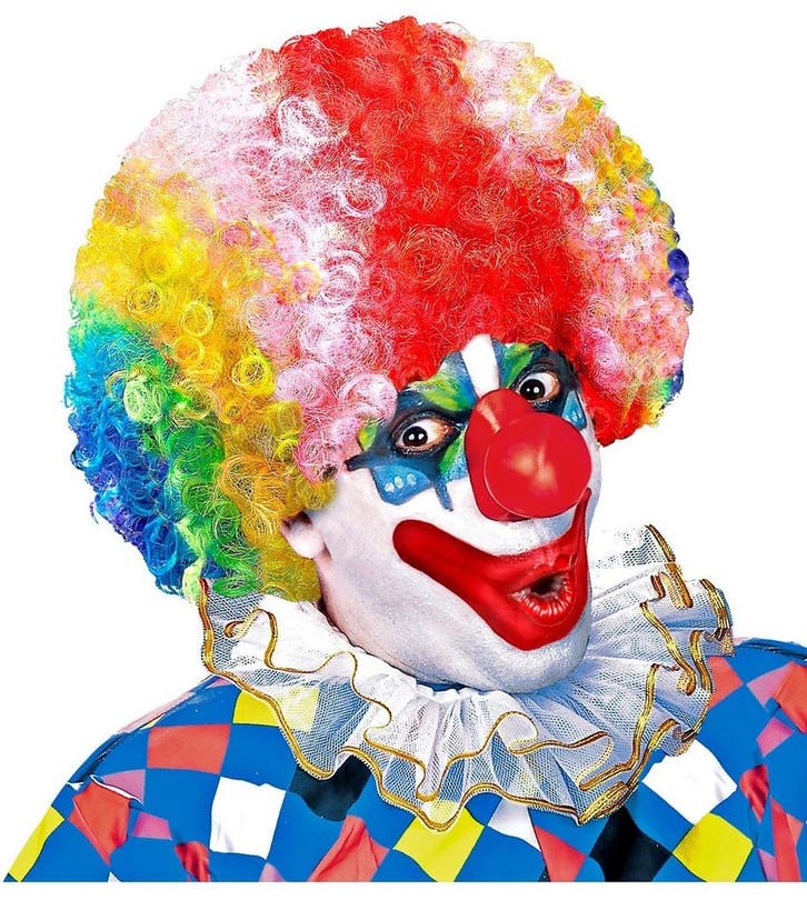 Gekleurde Pruik Clown, Hobby en Vrije tijd, Feestartikelen, Nieuw, Verzenden