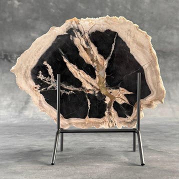 C-Stunning Grote plak versteend hout op een op maat gemaakte
