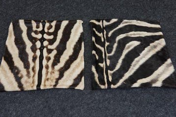 real zebra skin covers - Coussin (2)