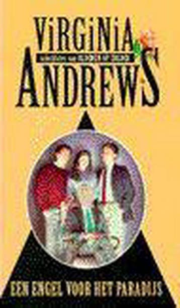 Een engel voor het paradijs / Casteel-saga / 4 9789032504496, Verzenden, Gelezen, Virginia Andrews