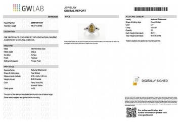 Ring - 18 karaat Witgoud - 2.55ct. tw. Diamant (Natuurlijk, Nieuw