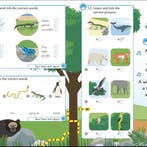 English for Everyone Junior Beginners Co 9780241415047 Dk, Verzenden, Dk