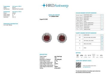 Oorbellen - 14 karaat Witgoud - 1.24ct. tw. Toermalijn -, Handtassen en Accessoires, Nieuw