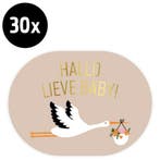 30x Sticker Hallo Lieve Baby - Ooievaar Beige - Sluitsticker, Verzenden