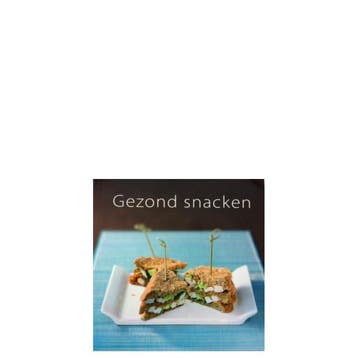 Boekje Gezond snacken 9789490561017 Thea Spierings, Verzenden, Thea Spierings