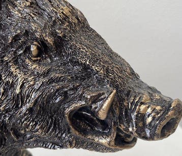 Beeld, Wild Zwijn-XXL - 44 cm - gebronsd met gouden patina