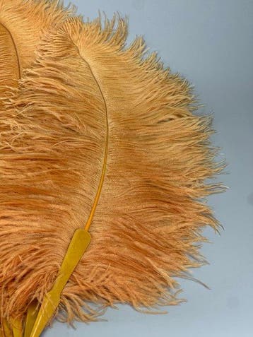 Éventail - Plumes dautruche, Bakélite - Éventail, Antiquités & Art
