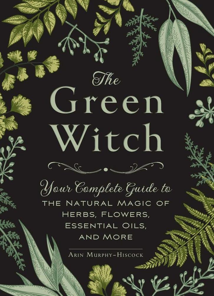 The Green Witch / Green Witch Witchcraft Series, Boeken, Taal | Engels, Gelezen, Verzenden